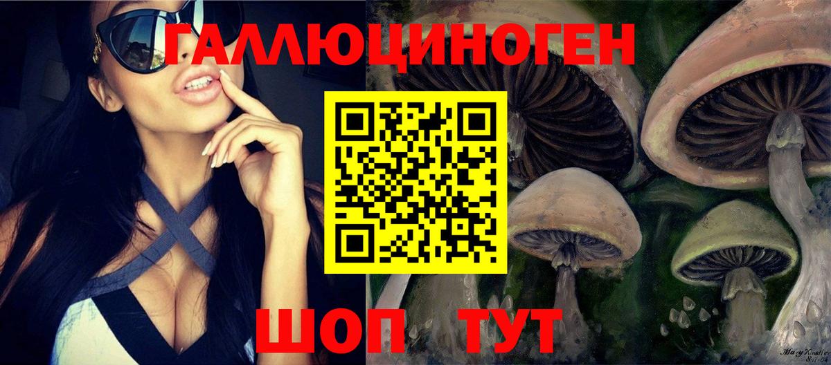 Коркино  Псилоцибиновые грибы Psilocybe  Вход с VPN  Галлюциногенные грибы MAGIC MUSHROOMS 